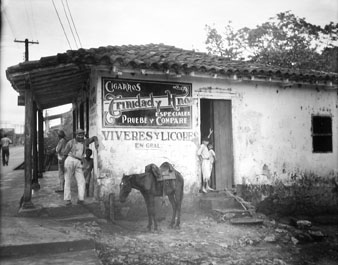 Walker Evans