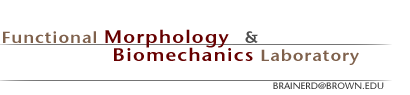 Functional Morphology and Biomechanics Laboratory