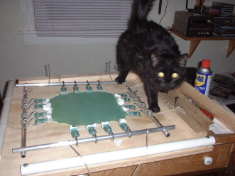 Rubber sheet in biaxial tension (with cat)