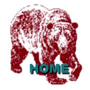 Bear4.gif - 9.1 K