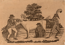 Jefferson Milking a Cow