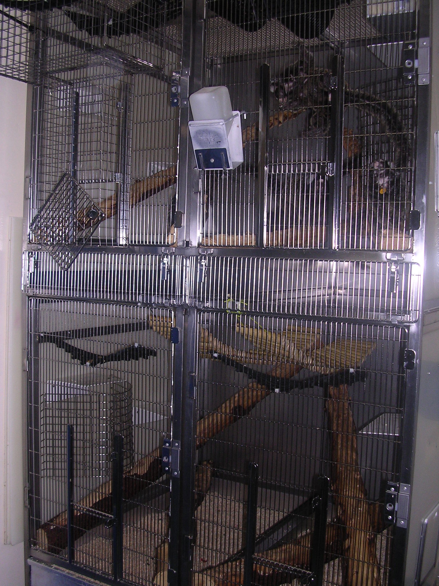 Standard Cage