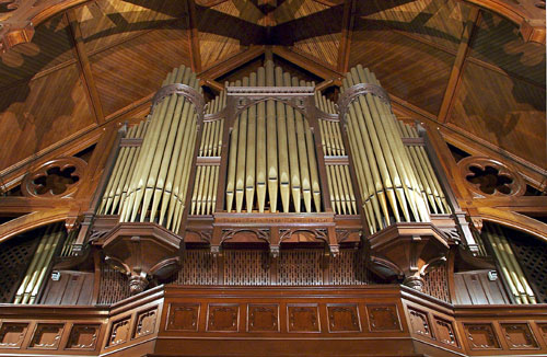 Organ