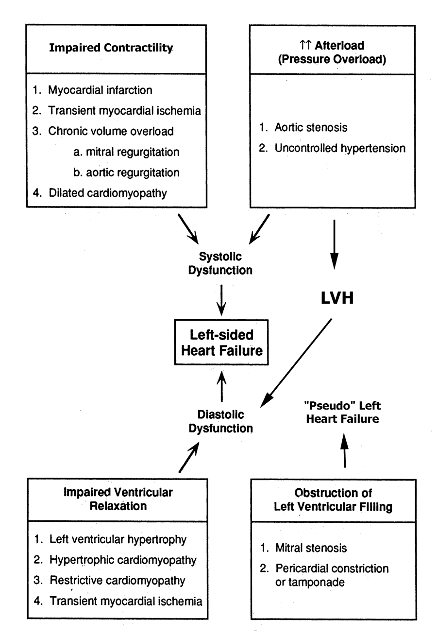 Left Vs Right Heart Failure Chart