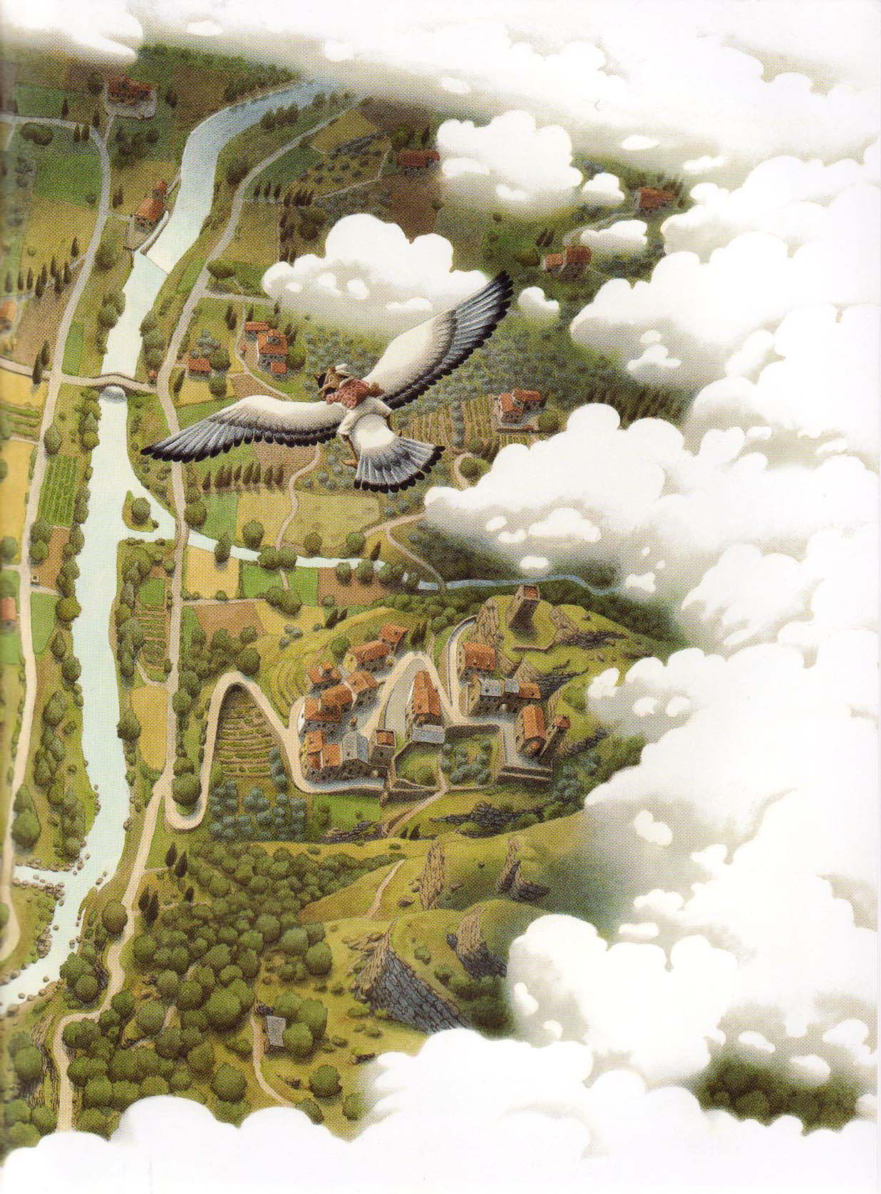 Fly Over