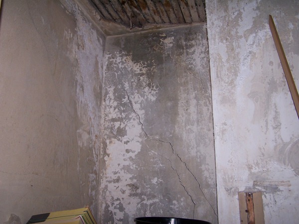 Uploaded Image