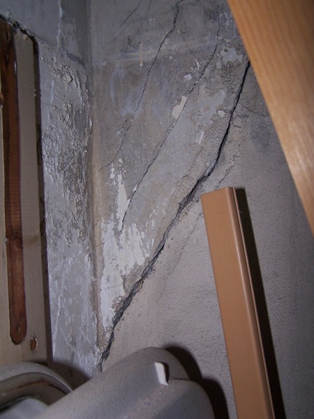 Uploaded Image