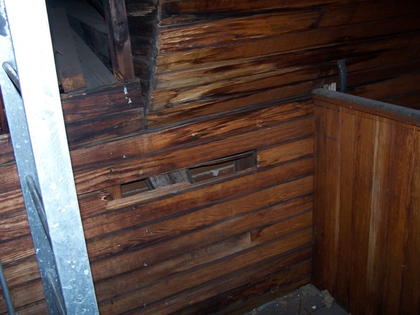 Uploaded Image