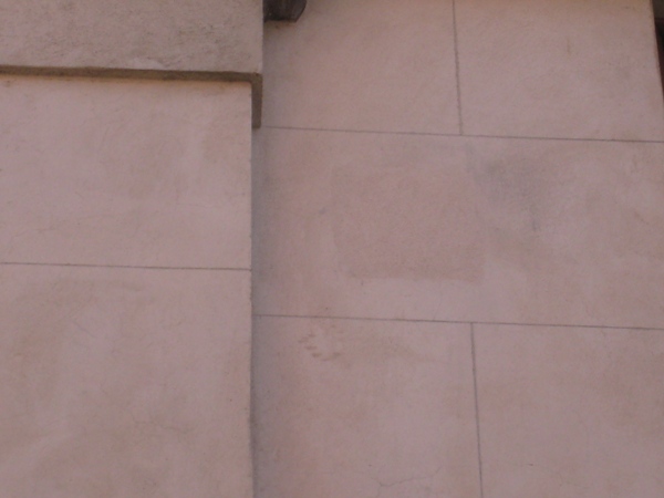 Uploaded Image