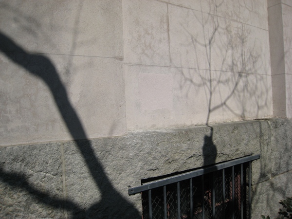 Uploaded Image