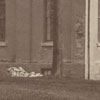 Uploaded Image