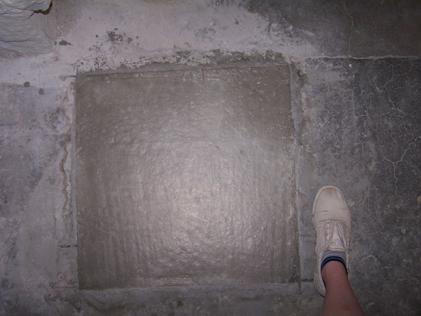 Uploaded Image