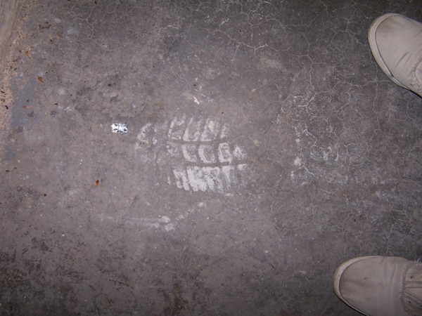 Uploaded Image