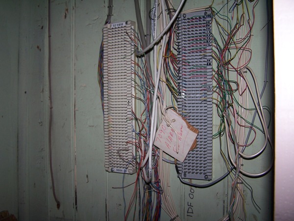 Uploaded Image
