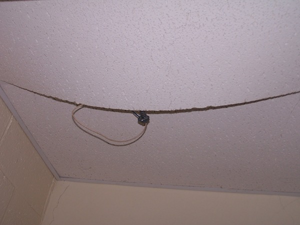 Uploaded Image