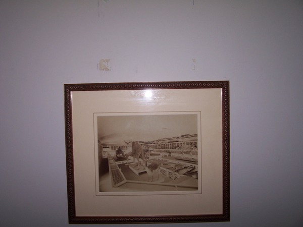 Uploaded Image