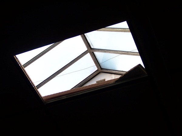 Uploaded Image