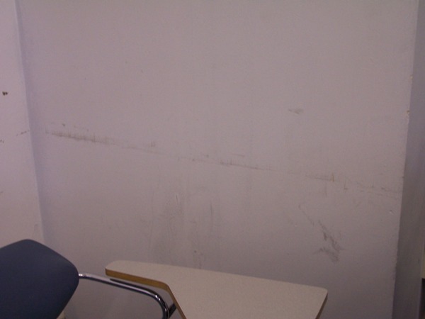 Uploaded Image