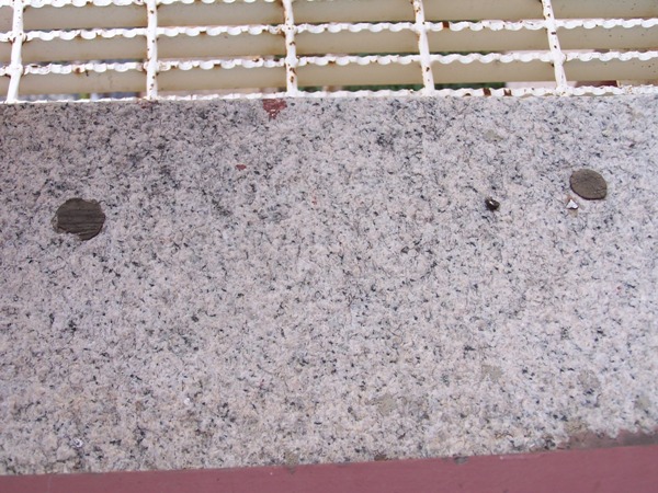 Uploaded Image