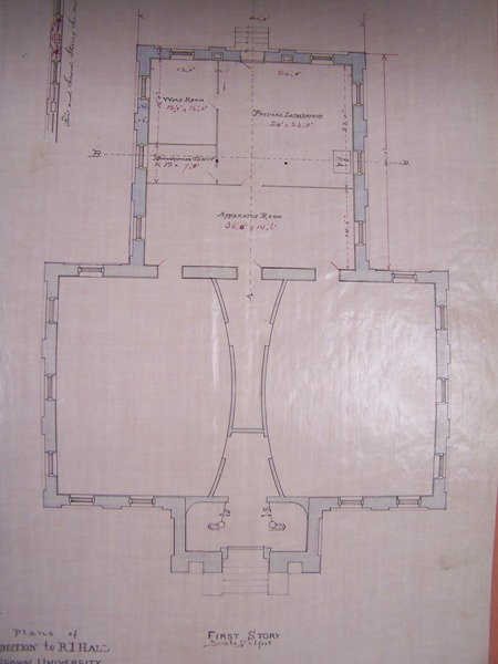Uploaded Image