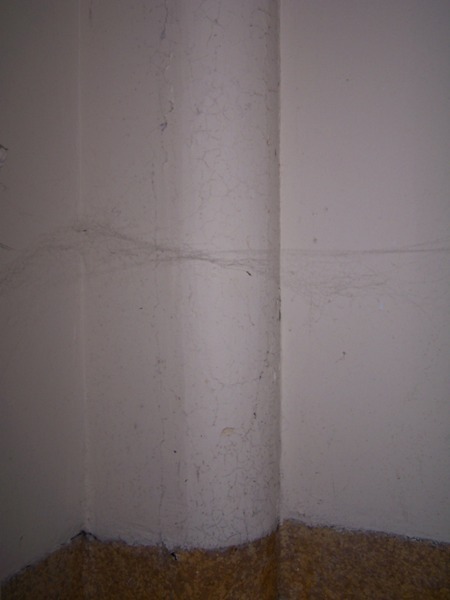 Uploaded Image