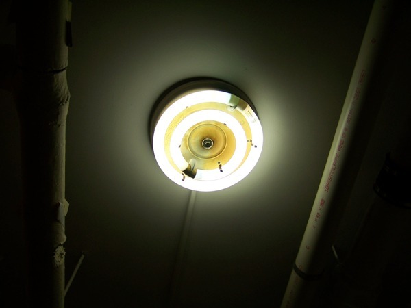 Uploaded Image