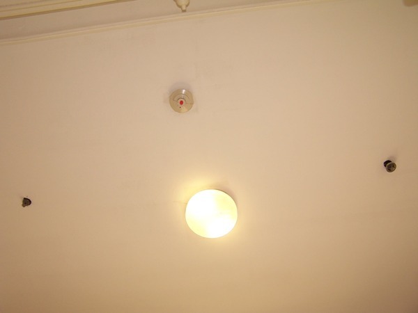 Uploaded Image