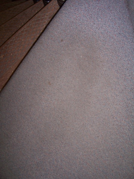 Uploaded Image