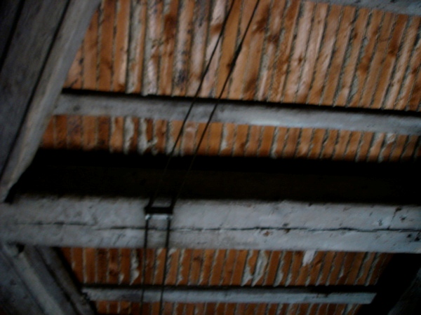 Uploaded Image