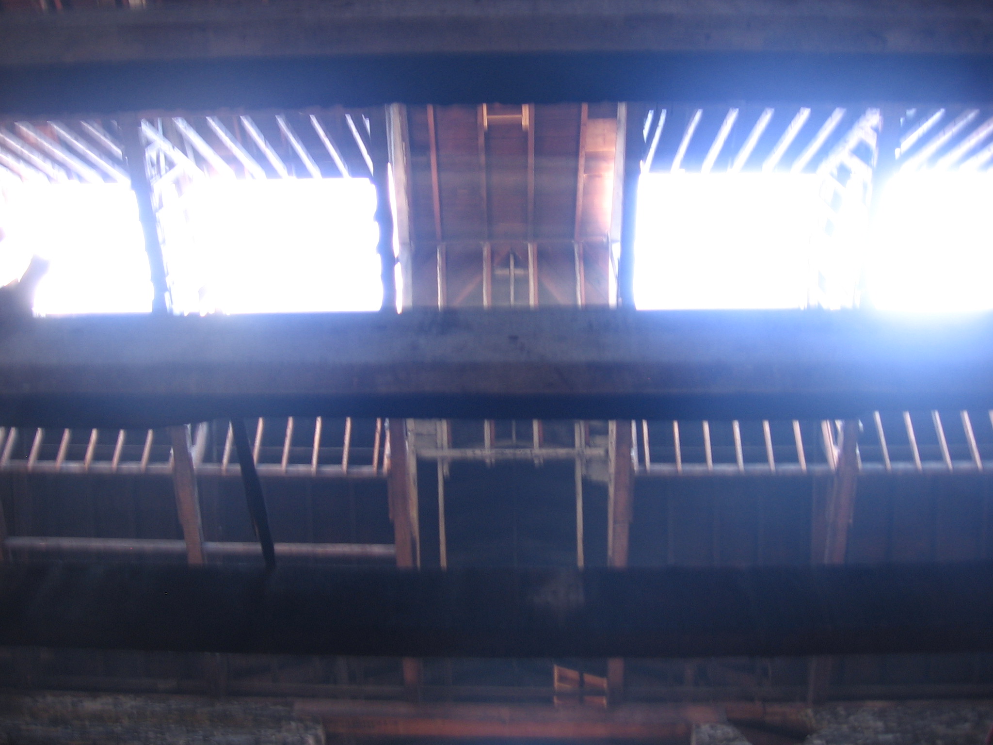 Uploaded Image