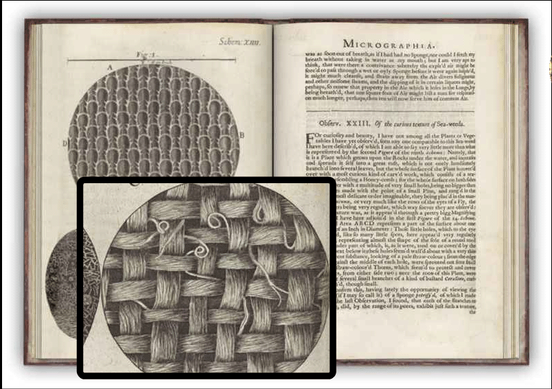 Optical Principles of the Magnifying Glass