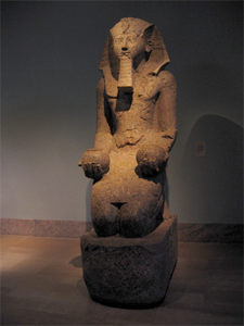 Uploaded Image