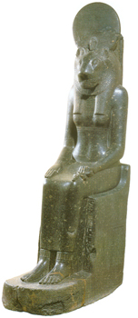 Uploaded Image