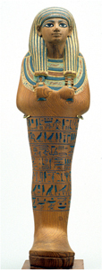 Uploaded Image