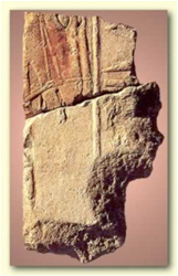Uploaded Image
