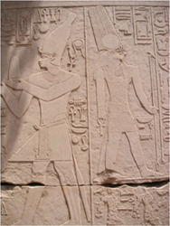 Uploaded Image