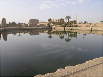 Uploaded Image