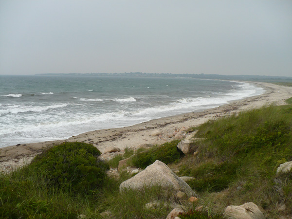 Uploaded Image