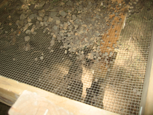Uploaded Image