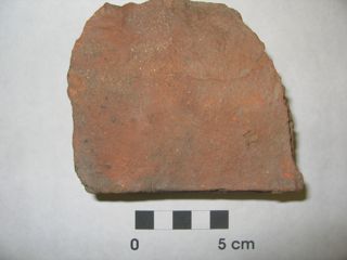Uploaded Image