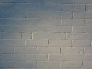 Uploaded Image