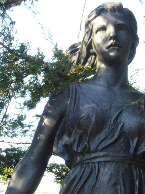 Uploaded Image