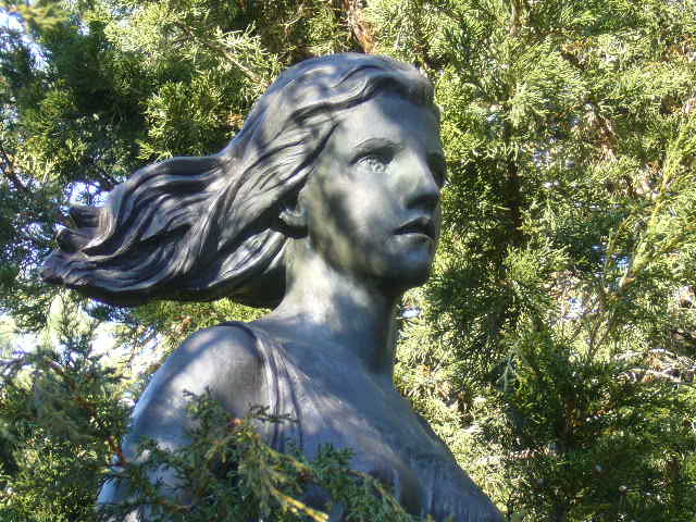 Uploaded Image