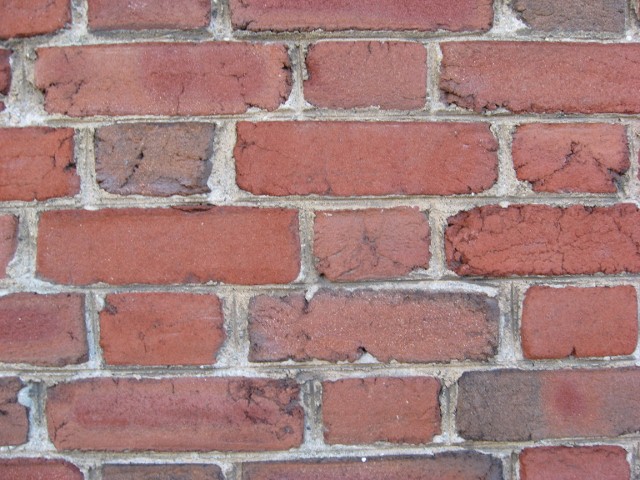 Uploaded Image