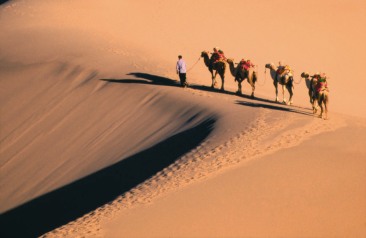 Uploaded Image