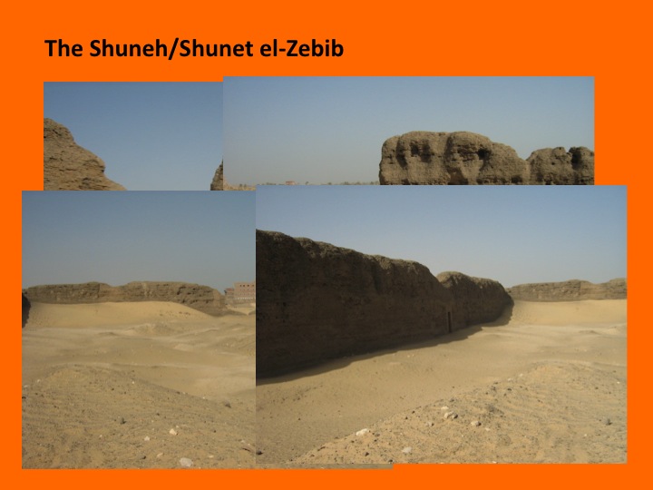 Uploaded Image