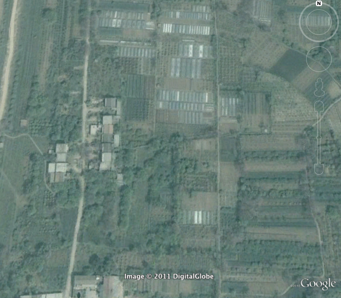 Uploaded Image