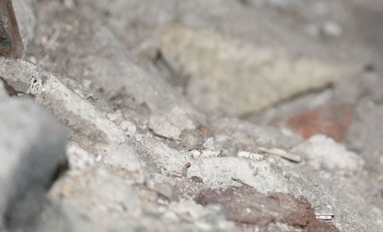 Uploaded Image
