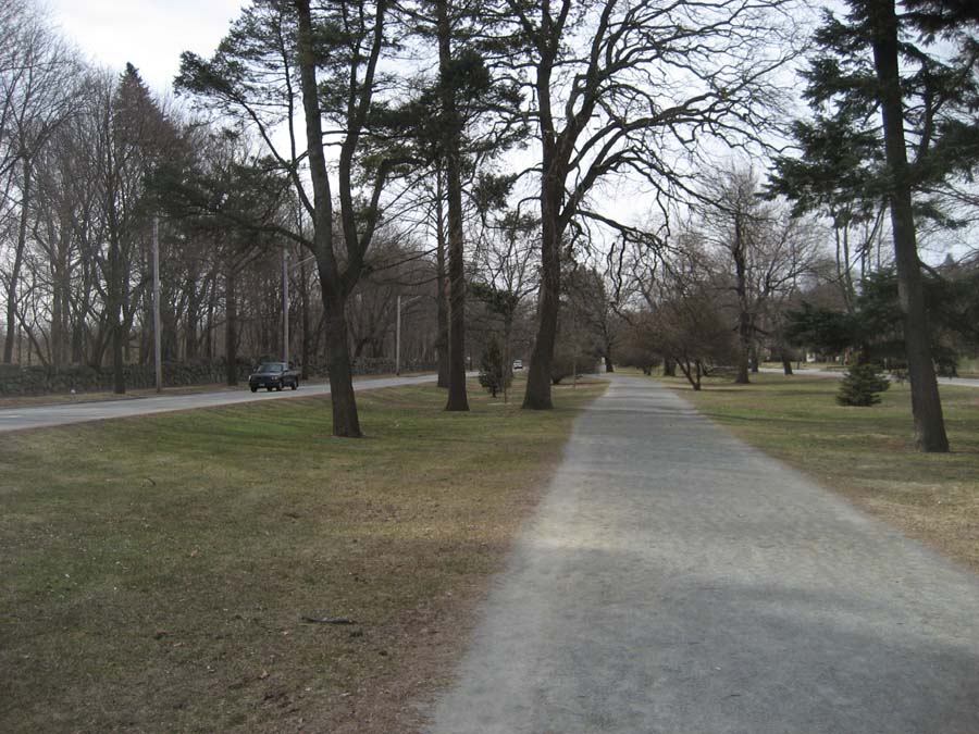 Uploaded Image
