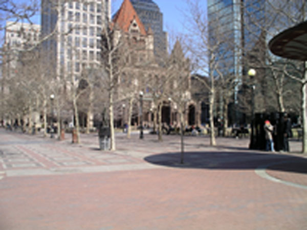 Uploaded Image